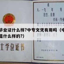 中专毕业证什么样?中专文凭有用吗（中专毕业证是什么样的?）