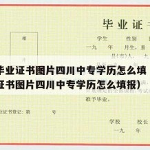 中专毕业证书图片四川中专学历怎么填（中专毕业证书图片四川中专学历怎么填报）