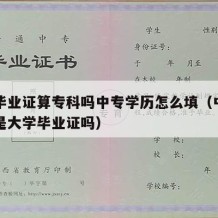 中专毕业证算专科吗中专学历怎么填（中专毕业证是大学毕业证吗）