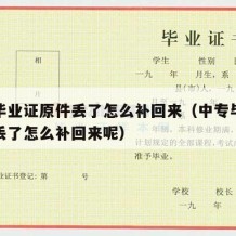 中专毕业证原件丢了怎么补回来（中专毕业证原件丢了怎么补回来呢）