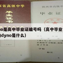 dyno是高中毕业证编号吗（高中毕业证上写的dyno是什么）