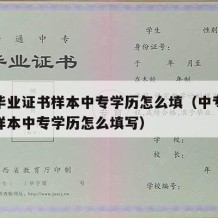 中专毕业证书样本中专学历怎么填（中专毕业证书样本中专学历怎么填写）