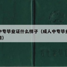 成人中专毕业证什么样子（成人中专毕业证有什么用）