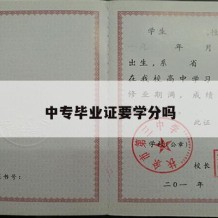 中专毕业证要学分吗