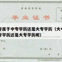 大中专属于中专学历还是大专学历（大中专属于中专学历还是大专学历呢）