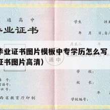 中专毕业证书图片模板中专学历怎么写（中专毕业证书图片高清）