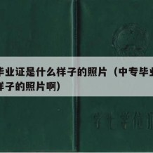 中专毕业证是什么样子的照片（中专毕业证是什么样子的照片啊）