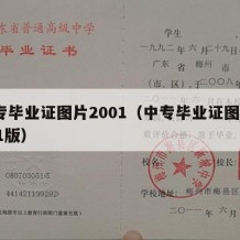 中专毕业证图片2001（中专毕业证图片2001版）