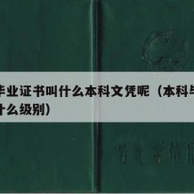 本科毕业证书叫什么本科文凭呢（本科毕业证属于什么级别）