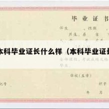 大学本科毕业证长什么样（本科毕业证长啥样）