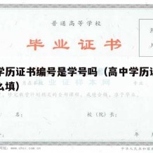 高中学历证书编号是学号吗（高中学历证书编号怎么填）