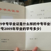 2009中专毕业证是什么样的中专毕业证呢（中专2009年毕业的学号多少）