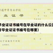 中专毕业证证书编号在毕业证的什么位置显示（中专毕业证证书编号在哪里）