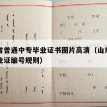 山东省普通中专毕业证书图片高清（山东省中专毕业证编号规则）