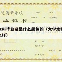 大学本科毕业证是什么颜色的（大学本科毕业证什么样）