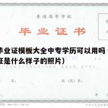 中专毕业证模板大全中专学历可以用吗（中专毕业证是什么样子的照片）