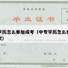 中专学历怎么参加成考（中专学历怎么参加成考考试）