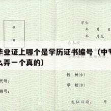 中专毕业证上哪个是学历证书编号（中专毕业证怎么弄一个真的）