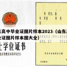 山东高中毕业证图片样本2023（山东高中毕业证图片样本图大全）