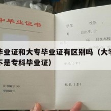 大学毕业证和大专毕业证有区别吗（大学毕业证是不是专科毕业证）