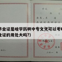 中专毕业证是啥学历啊中专文凭可以考吗（中专毕业证的用处大吗?）