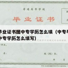 中专毕业证书图中专学历怎么填（中专毕业证书图中专学历怎么填写）