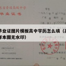 高中毕业证图片模板高中学历怎么填（高中毕业证样本图无水印）