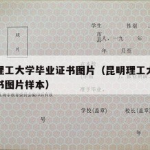 昆明理工大学毕业证书图片（昆明理工大学毕业证书图片样本）