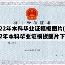 2022年本科毕业证模板图片(2022年本科毕业证模板图片下载)