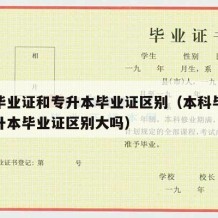 本科毕业证和专升本毕业证区别（本科毕业证和专升本毕业证区别大吗）