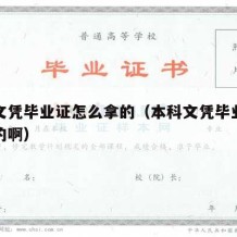 本科文凭毕业证怎么拿的（本科文凭毕业证怎么拿的啊）