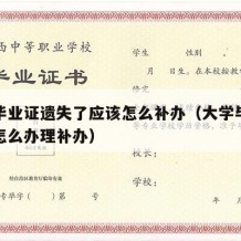 大学毕业证遗失了应该怎么补办（大学毕业证丢失怎么办理补办）