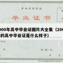 2000年高中毕业证图片大全集（2000年的高中毕业证是什么样子）