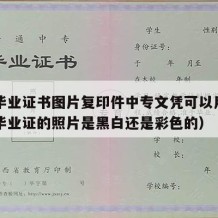 中专毕业证书图片复印件中专文凭可以用吗（中专毕业证的照片是黑白还是彩色的）