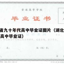 湖北省九十年代高中毕业证图片（湖北省1992年高中毕业证）