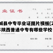 澄城县中专毕业证图片模板(2019年陕西普通中专有哪些学校