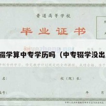 中专辍学算中专学历吗（中专辍学没出路吗）