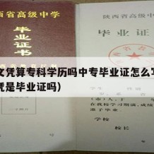 中专文凭算专科学历吗中专毕业证怎么写（中专文凭是毕业证吗）