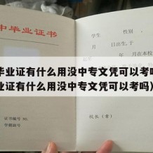 中专毕业证有什么用没中专文凭可以考吗（中专毕业证有什么用没中专文凭可以考吗）