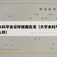 大学本科毕业证样板图高清（大学本科毕业证长什么样）