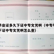 中专毕业证多久下证中专文凭啊（中专毕业证多久下证中专文凭啊怎么查）