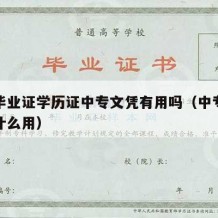 中专毕业证学历证中专文凭有用吗（中专学历证有什么用）