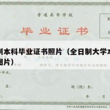 全日制本科毕业证书照片（全日制大学本科毕业证图片）