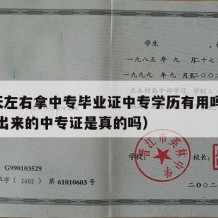 10天左右拿中专毕业证中专学历有用吗（15天出来的中专证是真的吗）