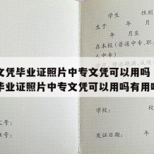 中专文凭毕业证照片中专文凭可以用吗（中专文凭毕业证照片中专文凭可以用吗有用吗）