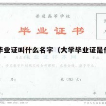 大学毕业证叫什么名字（大学毕业证是什么样）