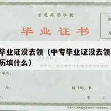 中专毕业证没去领（中专毕业证没去领取,工作学历填什么）