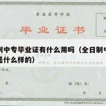 全日制中专毕业证有什么用吗（全日制中专毕业证是什么样的）