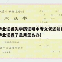 中专毕业证丢失学历证明中专文凭还能用吗（中专毕业证丢了急用怎么办）