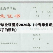 中专毕业证图片2020年（中专毕业证是什么样子的照片）